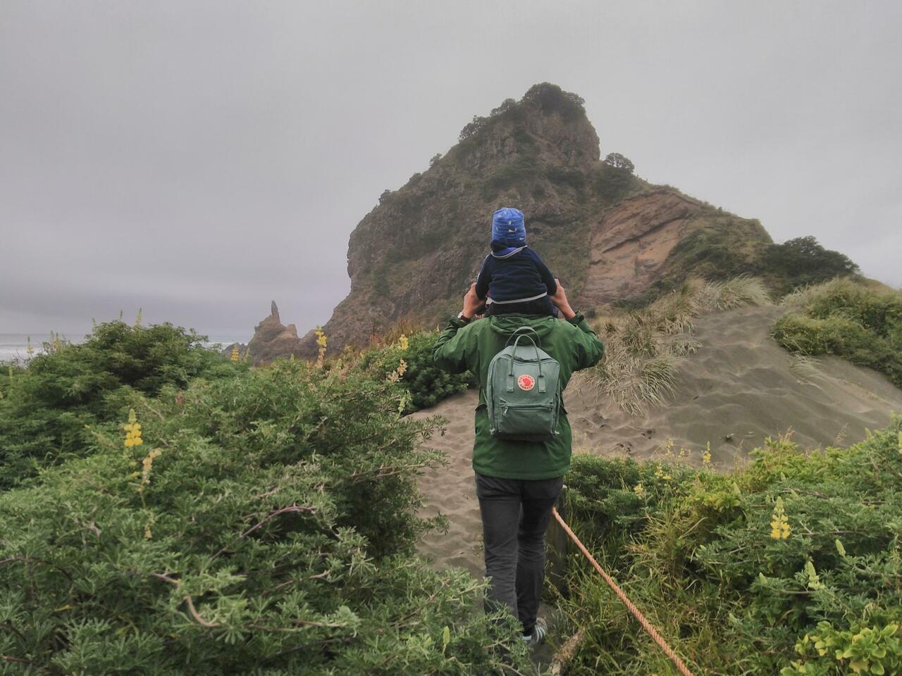 Regen und Nebel in Piha