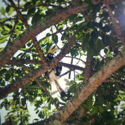 Wir haben Zazu gesehen ☝️😱🤣