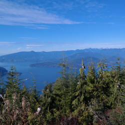 Bowden Lookout
