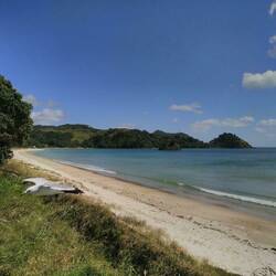 In Whangapuoa