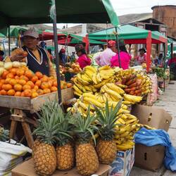 Unglaubliche Vielfalt an Früchten, und das in den Anden