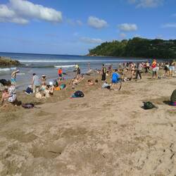 Ziemlich viel los da...