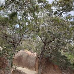 Wanderung zum Bay