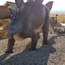Stegosaurus ist ein thyreophorer Dinosaurier aus der Familie der Stegosauridae und damit ein Vertreter der Orn