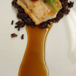 Krokodilschwanz Filet