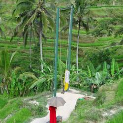 Eine der vielen Schaukeln inkl. Kleider :D