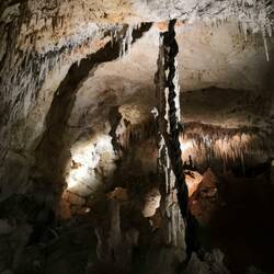 Der schwarze Schlauch ist eine Baumwurzel 😌