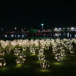 Lichtinstallation im Hotelgarten