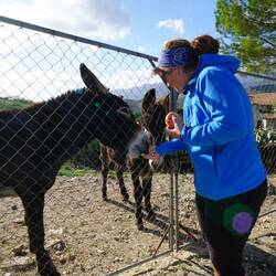Tina teilt ihren letzten Apfel mit den netten Vierbeinern am Wegesrand