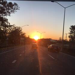 Driving back from Bunings