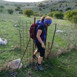 Tina kämpft mit dem Durchschlupf der vielen Weidezäune