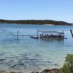 These people having a lesson on Oyster Farming