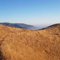 A path through a variety of landscapes // Un chemin à travers de multiples paysages