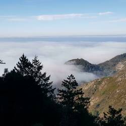 Morning mists on the shores of Big Sur // Brumes matinales sur les rives de Big Sur