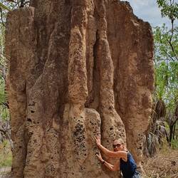 Cathedral Termitenbau