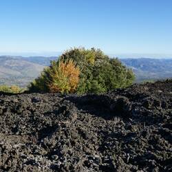Manchmal hat man einfach Glück und das Unheil geht rechts und links vorbei