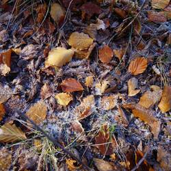 Es fühlt sich nicht nur kalt an, es ist wohl auch kalt😉