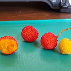 Die Frucht des Erdbeerbaums