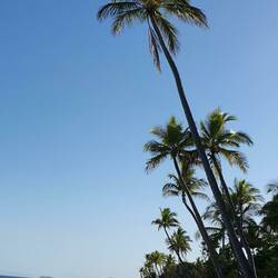 Strand in Mission Beach