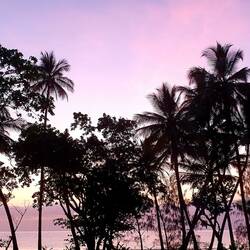 Sonnenaufgang in Mission Beach