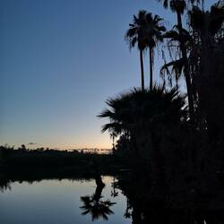 Sunrise at the lagune