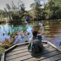 Unglaublich klares Wasser an den Waikoropupu Springs