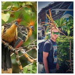 Lustiges Foto entdeckt und Vergleich gefunden 🤣