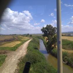 Brook Kishon