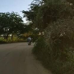 Beim Cruisen... 🛵