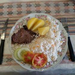 I was excited to try llama for dinner, but we could barely cut it much less chew it