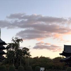 Abendstimmung beim Toji Tempel