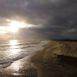 Morning at the beach