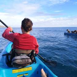 Kayaking in the bay
