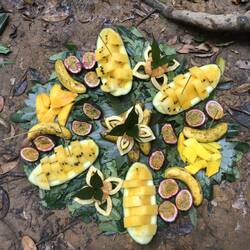 Our guides put in so much heart ❤️