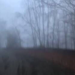 Durch den Nebel zur sowjetischen Pracht