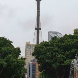 Blick zum Sydney Tower
