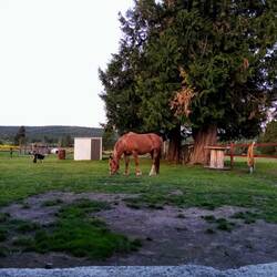 Aussicht aus unserem Bauwagen