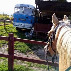 Gut gemacht, Urida 🤩🙏