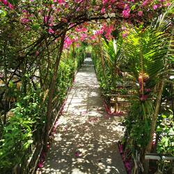 Kleiner Garten von Putri Homestay
