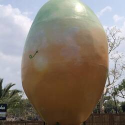 "The Big Mango"