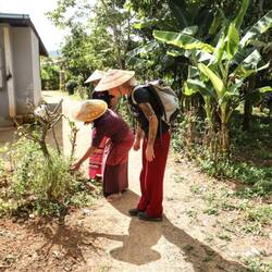 Hier studiere ich....