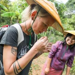 ...die burmesische Botanik