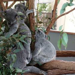 gemeinschaftlich abhängen