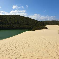 große Düne zum Lake Wabby
