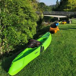 Unsere Kanus für den Fluss