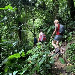 Wanderung zu den Wasserfällen in Bríbrí