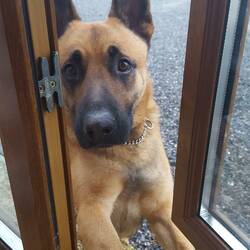 Wenn man (Tons...) das Fenster offen lässt