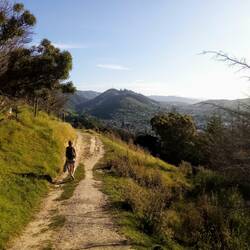 Wanderung zum Centre of NZ