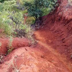 Da mussten wir irgendwo runter...irgendwie