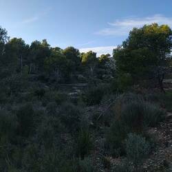 My camp spot. See my trolley on the right? Road's behind me...
